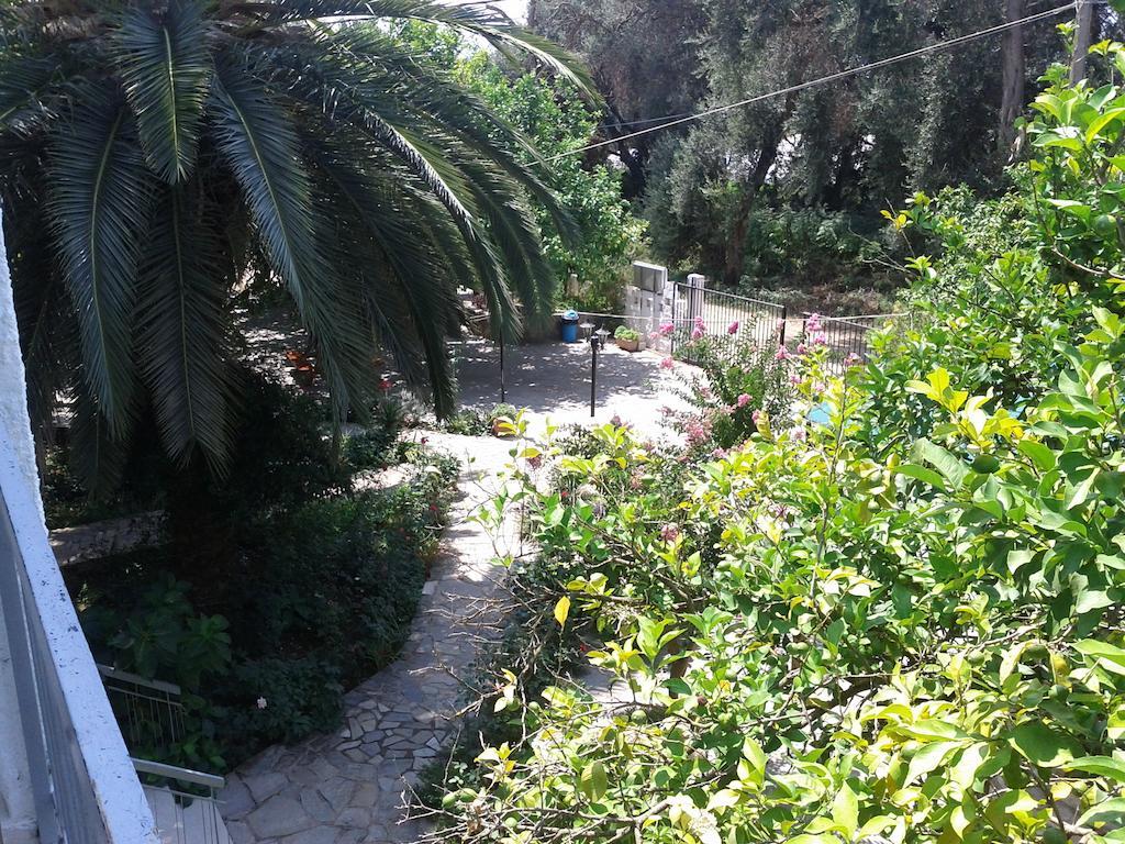 Margarita Apartments Preveza Rom bilde