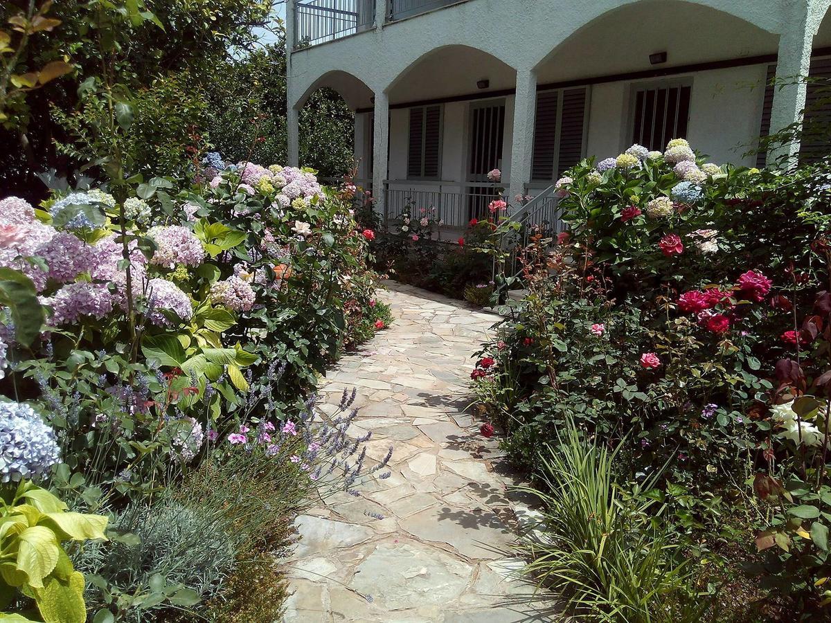 Margarita Apartments Preveza Eksteriør bilde