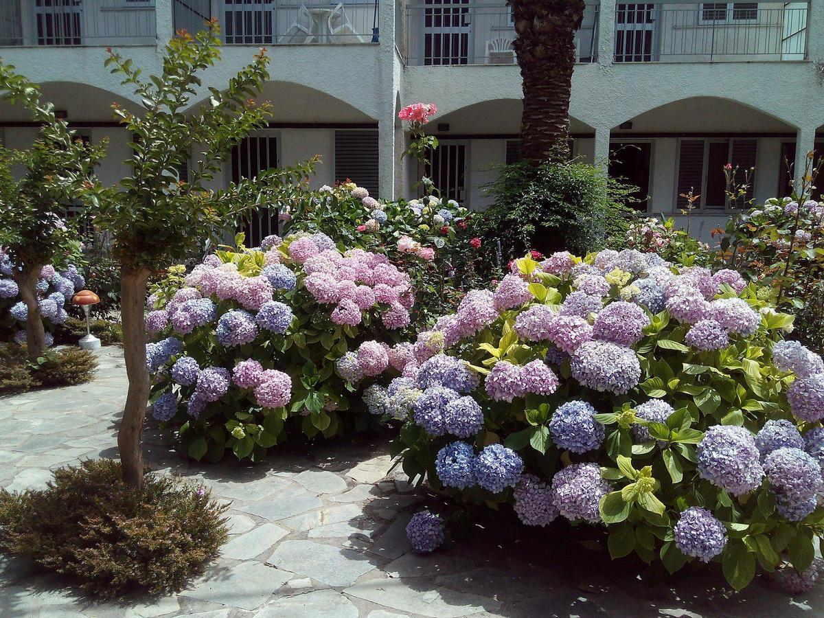 Margarita Apartments Preveza Eksteriør bilde